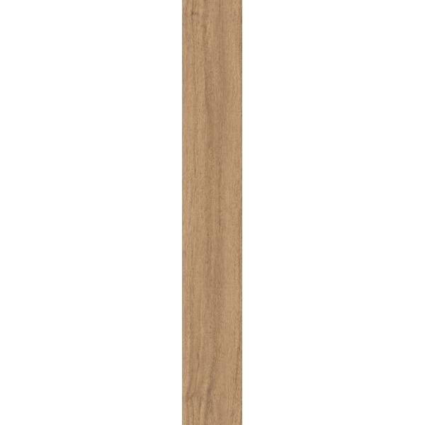 Hazel Maple